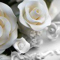 white roses