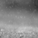 gentle rain