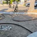 Native garden plan with pathways