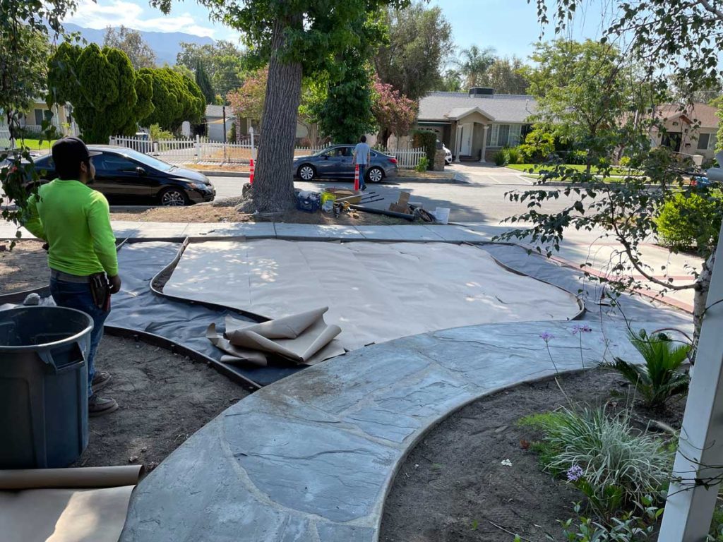 putting paper down as a weed barrier in native garden