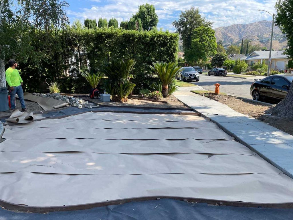 putting paper down as a weed barrier in native garden