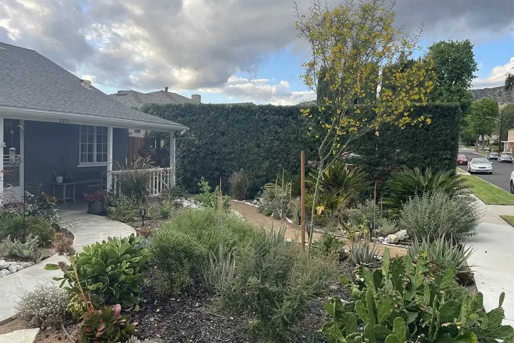 2026 Native Garden 4 years later 1