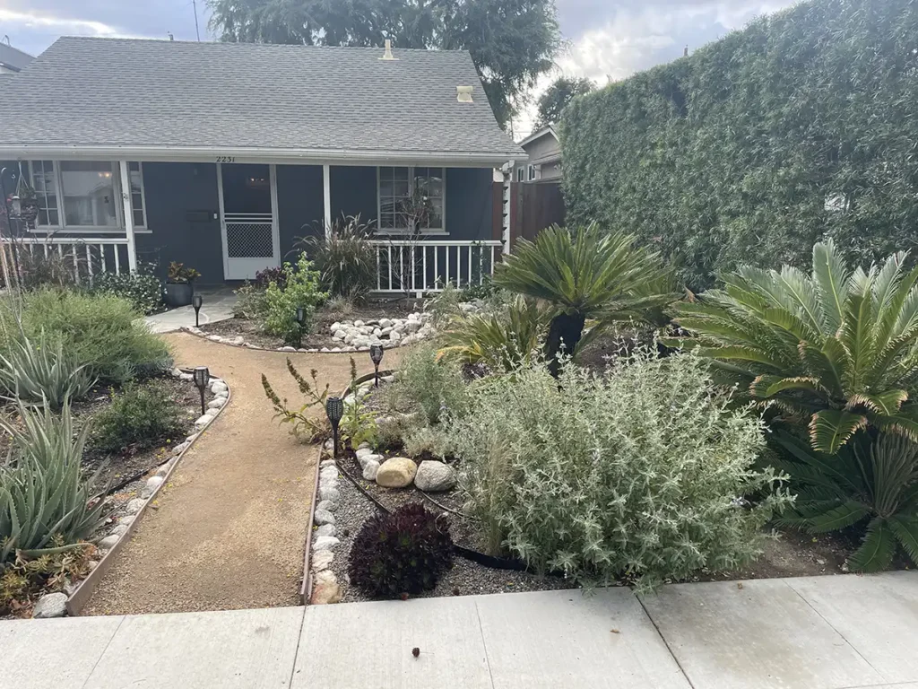 2026 Native Garden 4 years later 5