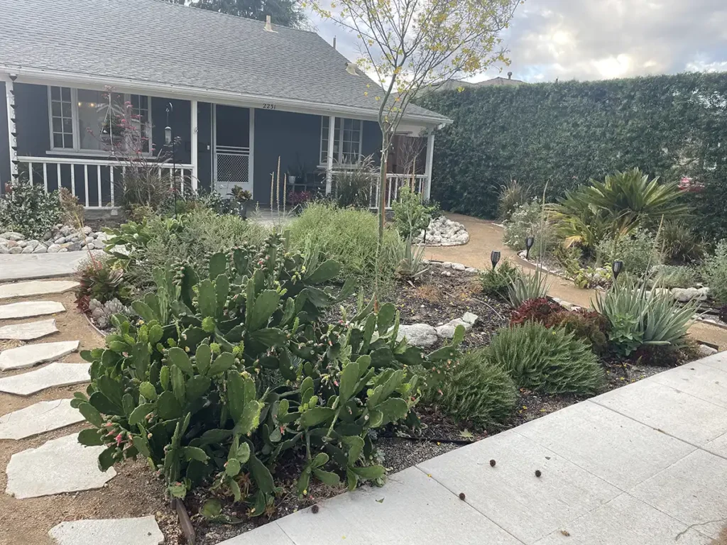 2026 Native Garden 4 years later 6