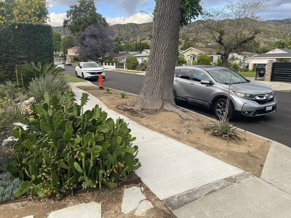 2026 Native Garden 4 years later 7