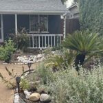 Native Garden - 4 Years Later