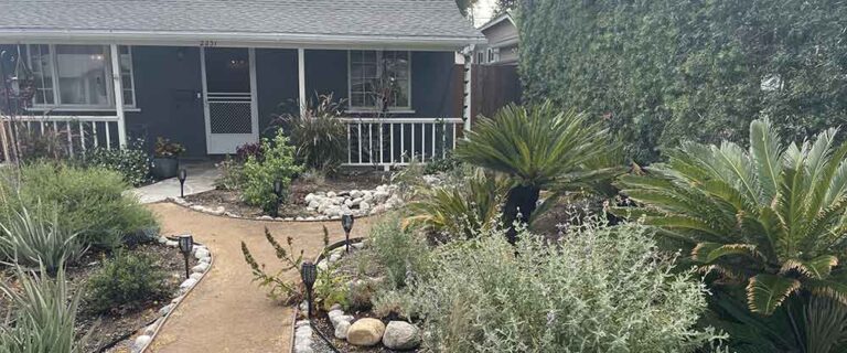 Native Garden - 4 Years Later